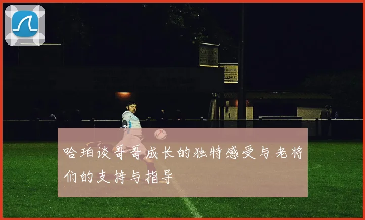 哈珀谈哥哥成长的独特感受与老将们的支持与指导